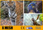 ASTM استاندارد 60 درجه کابل سیم توری X Tend Zoo Enclosure Mesh