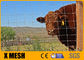 حصار مزرعه فلزی با پوشش پی وی سی پانل های نرده گاو 1400 مگاپاسکال